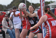 Mixed results for LC senior netball