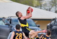 Tigers claw the win from Keith