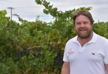 Coonawarra escapes frost