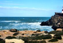 Four sites identified for relocation