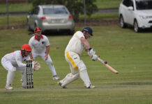 Tigers in the box seat