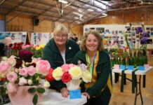 Millicent’s turn for showtime fun