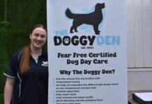 Tails wagging at Puppy Party