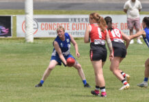 Top teams flex muscles as finals approach