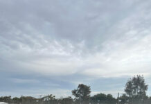 Sun shines on Wimbeldon Day