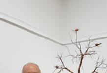 Tree competiton a real tree-t