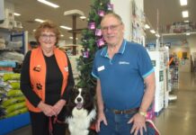 Story Dogs supported this Pawsmas