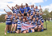 Cats too good on home deck