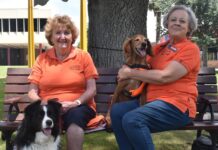 Coordinator handover for Story Dogs