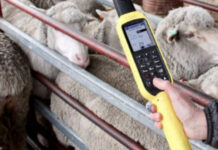 New drafting races on the horizon