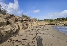 Robe secures critical coastal funding