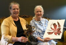 Seaweed joins the festival