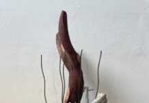 Riddoch welcomes new exhibitions