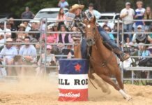 Rounding up the first Hatherleigh Rodeo