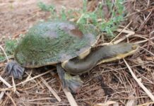 Landscape board shares in funding