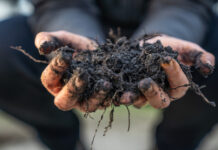 Carbon farming workshops are filling fast