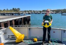 Study reveals coastal insights