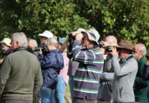 BirdLife Southeast SA AGM