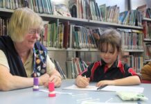 Lions spot sight issues