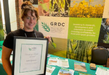 Winners in the grain