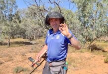 Open day for GEM fans