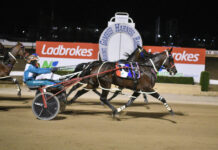 Visitors hold key to gold cup