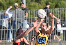 Tigers out to start title defence with win