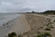 Critical erosion funding sought for Southend
