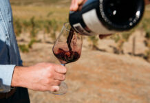 2025 wine edition released