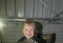 Keen anglers find a feed