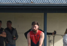 Demons bounce back in style