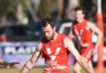 Tigers’ first hitout yields results