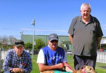 A penny for your thoughts