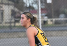 Tigers’ dream run continues