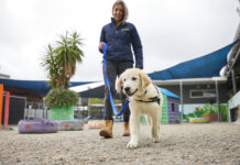 Seeing Eye Dogs Appeal launched