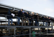 Farmers to gather and yarn