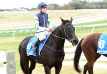 Clinging on to slender lead