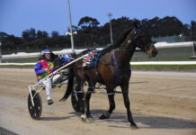 Huge loss for local trotting