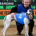 hounds_488992_01