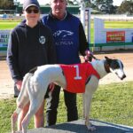 hounds_488992_02