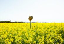 Free farm safety information sessions