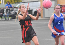 Bulldogs hold back determined Cats