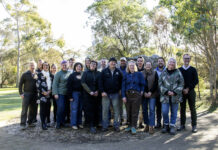 Upcoming wine leaders