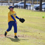 softball_488087_02
