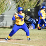 softball_488087_03