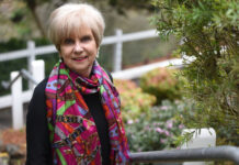 Council election cycle review