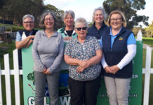 Winter sunshine welcomed