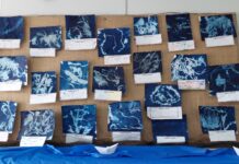 School exhibition on show