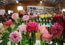 Last chance to enter