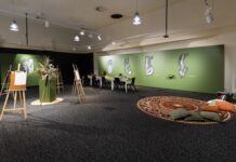 Interactive Barnbul at the Riddoch